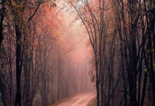 开云体育官网-神锋破阵！C罗以一敌众上演中超封神之战