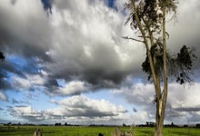 开云APP-当红蓝血脉喷张，中超赛场迎来世纪之战！巴萨利物浦天河对决全记录