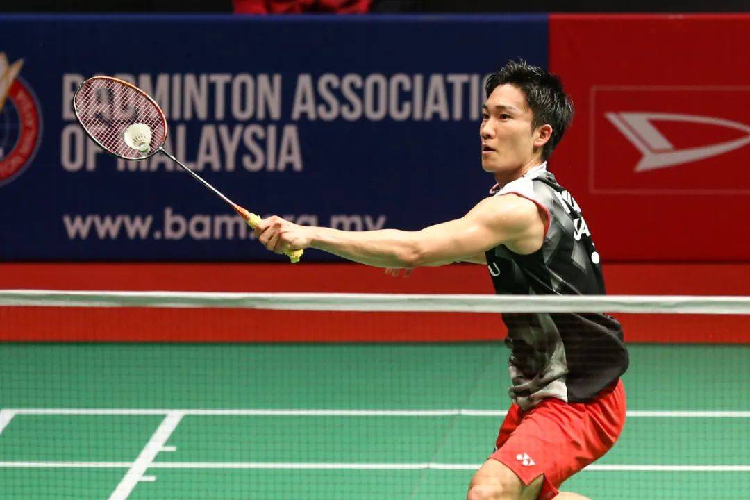 开云体育入口-法国羽毛球队强势日本羽毛球队，桃田贤斗送出助攻的简单介绍