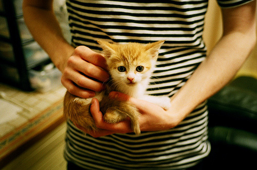 开云体育中国-黑马逆袭，哈斯车队横扫梅赛德斯，佩雷兹关键制胜创历史