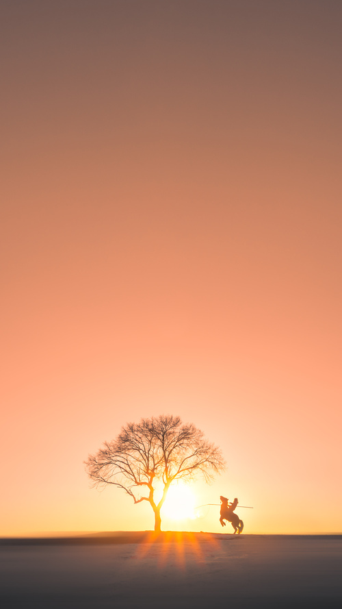 开云体育app-时空交错的激情夜，当威斯特法伦的呐喊遇见摩达中心的三分雨