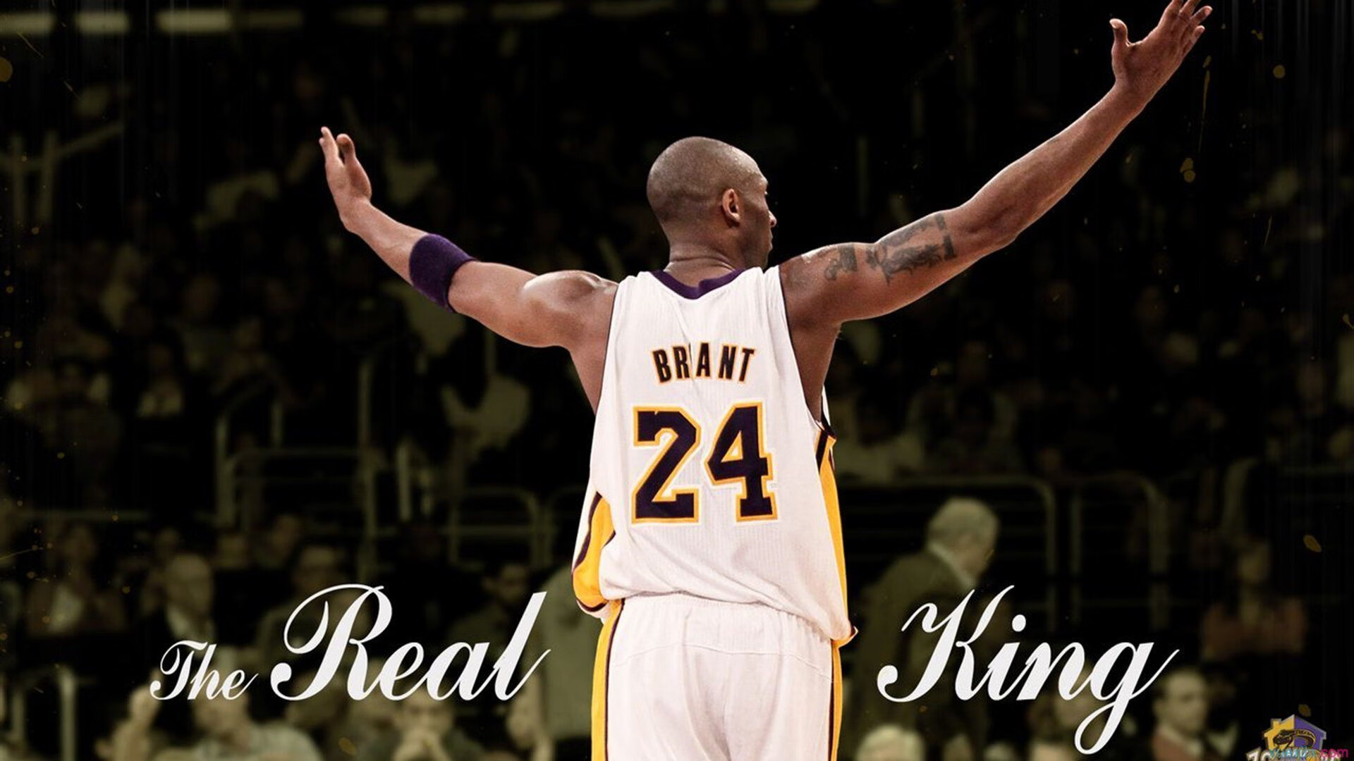 扳手与鹰标的无声对撼,迪马利亚的独舞,与德国铁幕下的澳大利亚困局