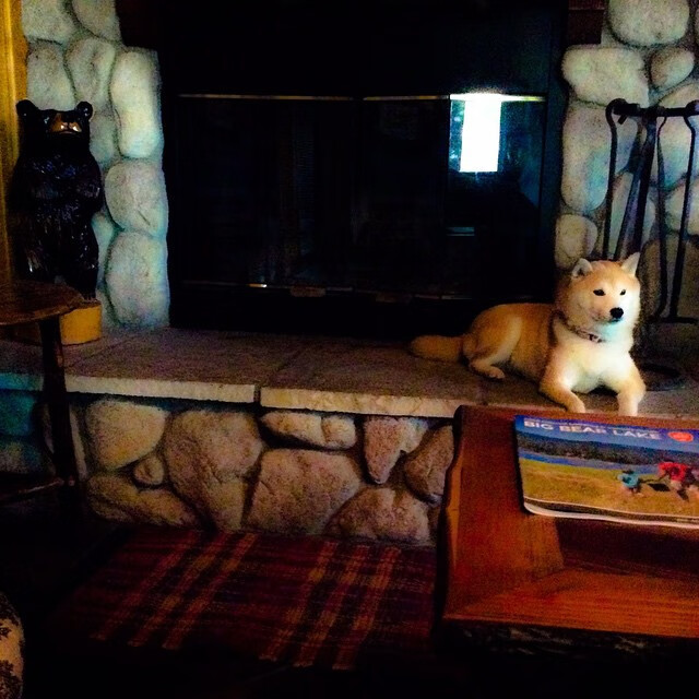 意甲焦点战之夜，戈贝尔关键时刻站出来，绝杀定乾坤