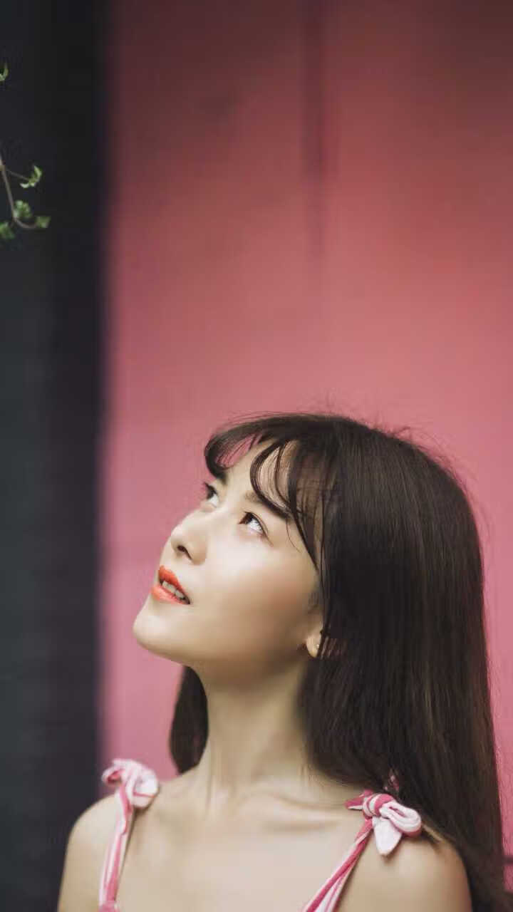 圣殿骑士的暗夜之光，当弗拉霍维奇在罗马天空写下唯一