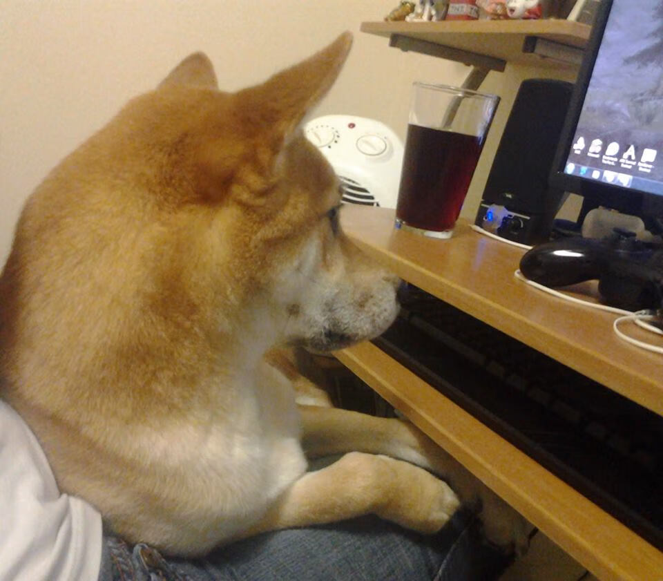 开云体育官网-从灾难到高墙，金玟哉如何用一场比赛，让意甲两大豪门重新掂量自己的选择？