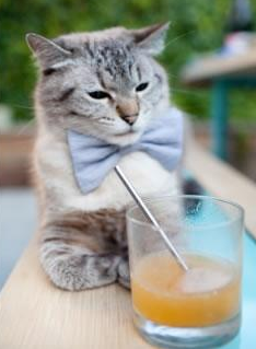 篮网对阵北京队，西亚卡姆虎入羊群，上演世纪个人统治秀