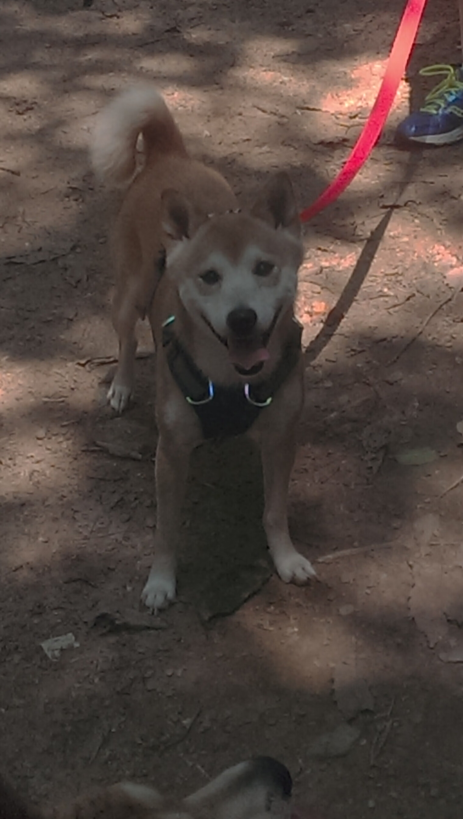 节奏之王,当热火灼烧的血液遇上公牛冻结的时间