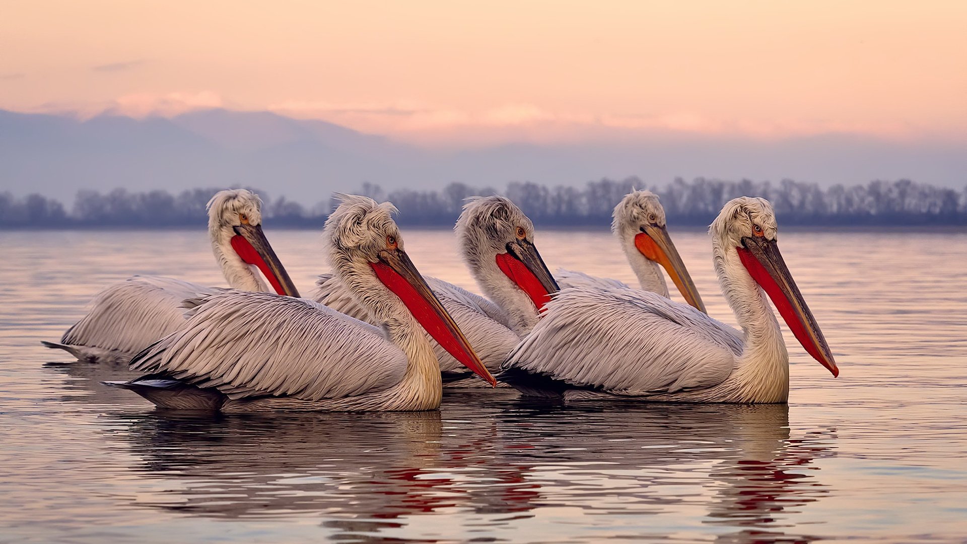 当大师级进攻对撞平民级血拼，教科书与战争的艺术