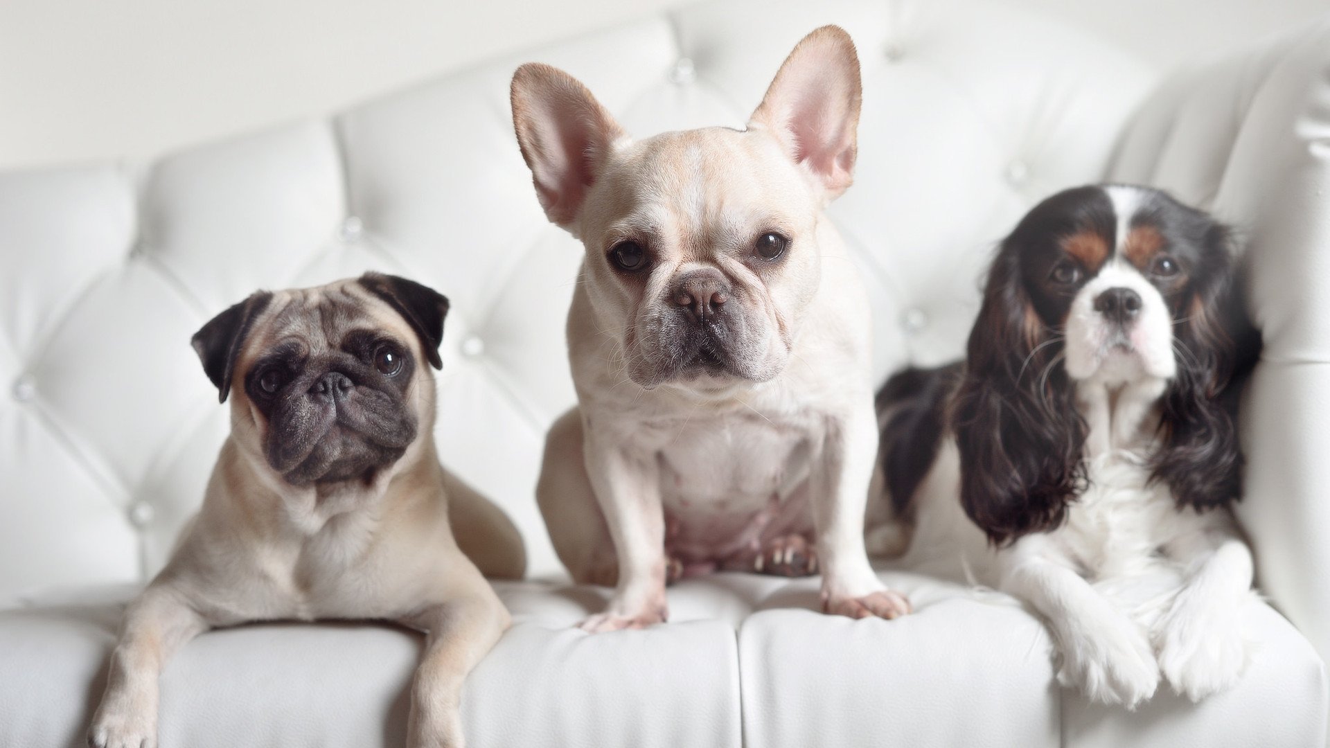 绝地反击，在星辰之海的尽头升起金靴勋章