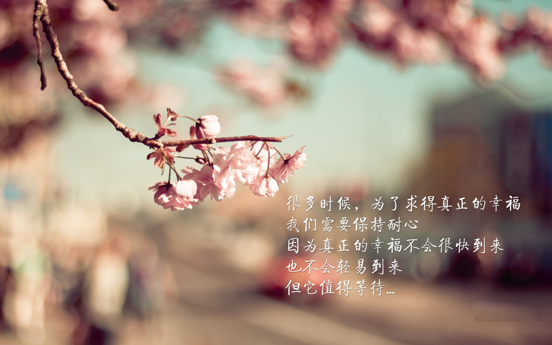 开云体育中国-德布劳内一传一射拯救比利时，摩洛哥压制加拿大却成全他人嫁衣