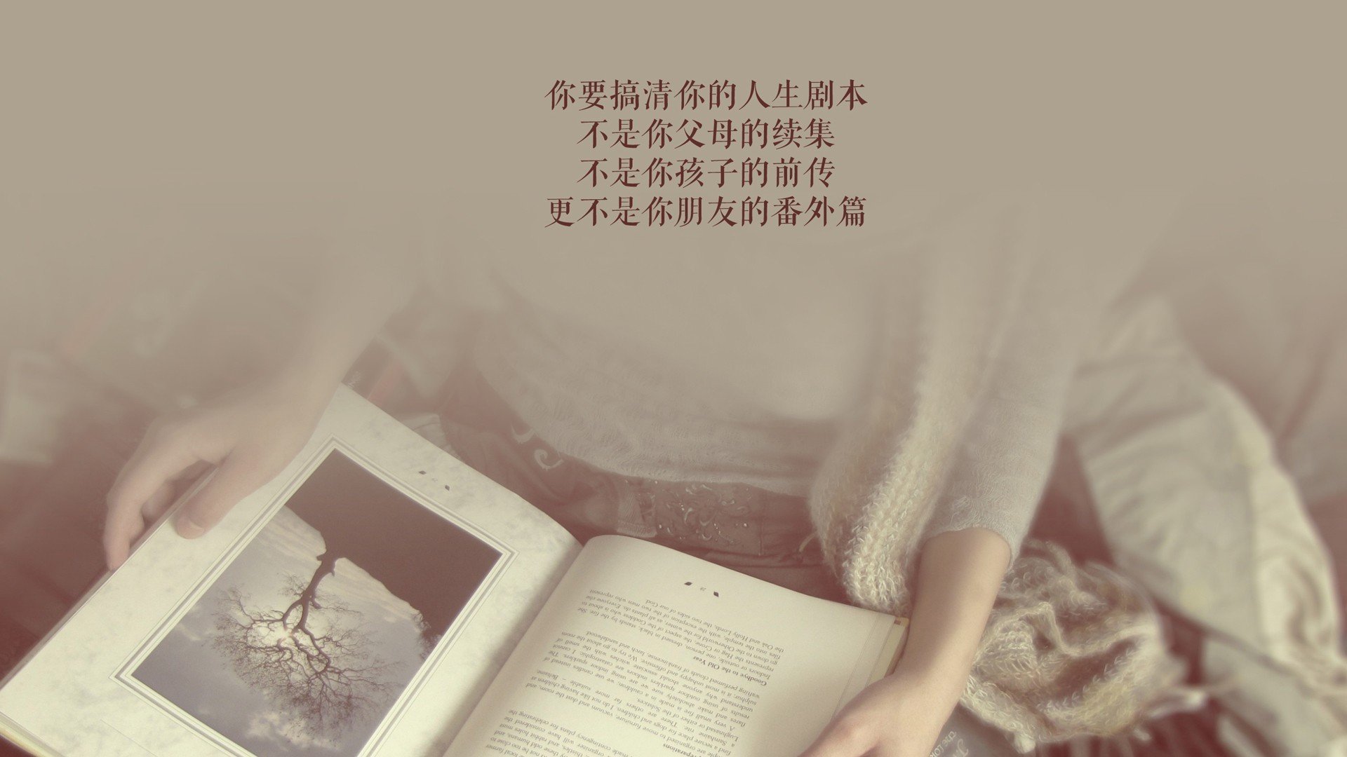 北极光与太极虎的宿命对决,萨内压哨绝杀,挪威冰封韩国世界杯梦